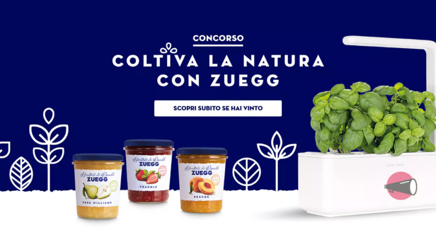 immagine dettaglio concorso
