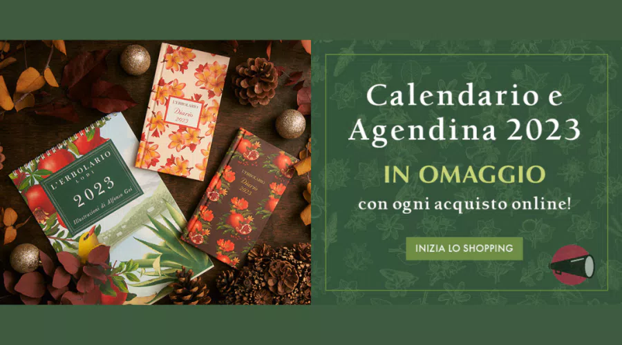 immagine dettaglio concorso