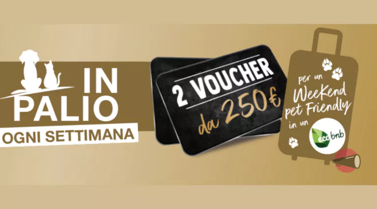 Concorso “Cesar & Sheba 2023”: vinci un weekend pet friendly