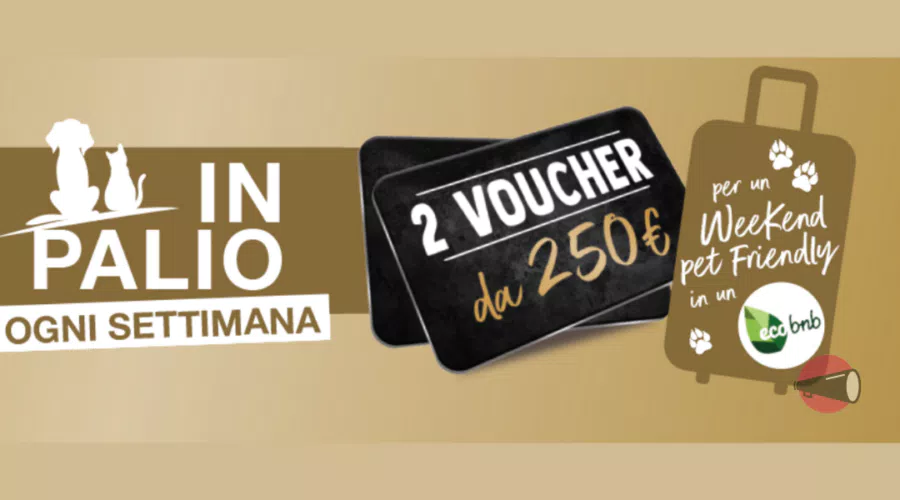 immagine dettaglio concorso