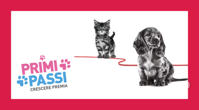Concorso Royal Canin “Primi passi”: vinci 20 forniture da 1.000€