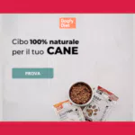 Il cibo per cani fatto in casa che il tuo peloso si merita: scopri Dogfy Diet