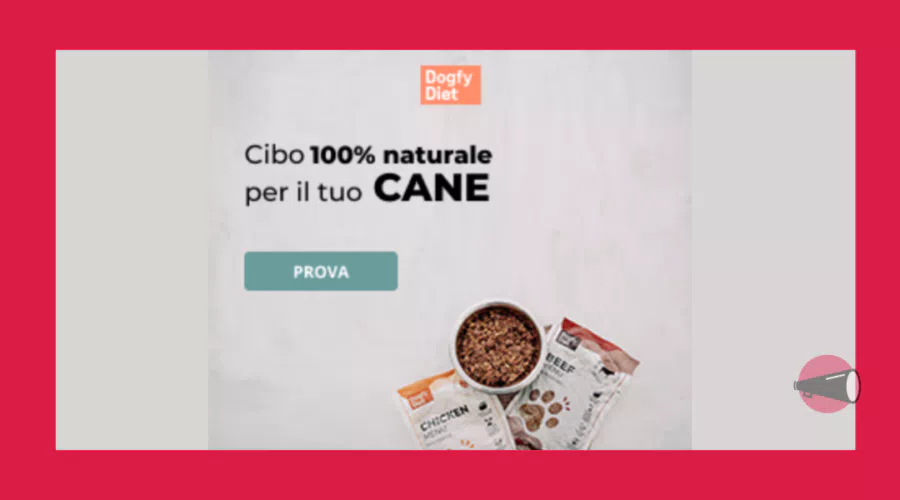 Il cibo per cani fatto in casa che il tuo peloso si merita: scopri Dogfy Diet
