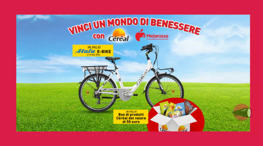 immagine dettaglio concorso