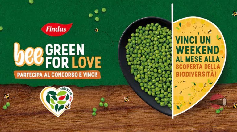 Concorso “Bee Green For Love Findus”: vinci weekend ed esperienza apiaria per 2