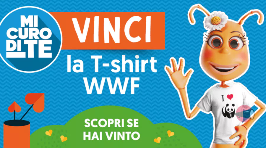 immagine dettaglio concorso