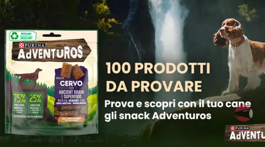 immagine dettaglio concorso