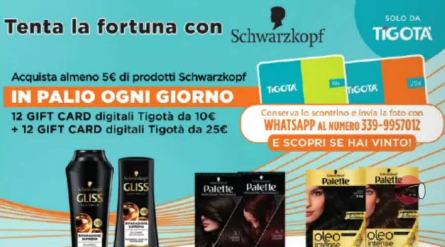 immagine dettaglio concorso