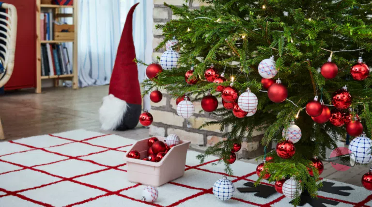 Compostiamoci bene Ikea 2023: restituisci l’albero di Natale IKEA e ricevi un coupon!