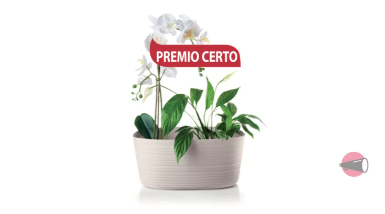 L’Albero Verde ti premia: in regalo portavaso Tierra Guzzini