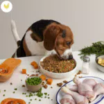 Menù di Pollo DogfyDiet