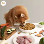 Menù di Tacchino DogfyDiet