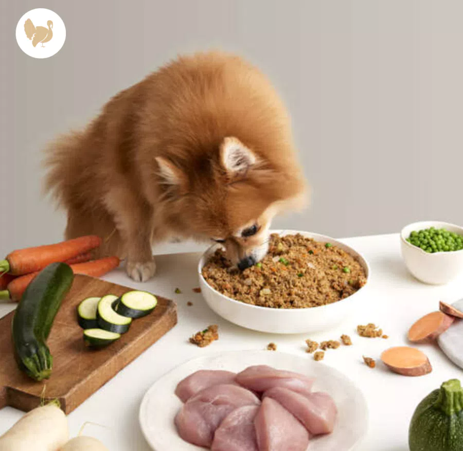Menù di Tacchino DogfyDiet