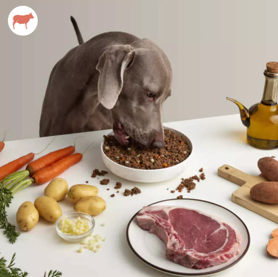 Menù di Manzo DogfyDiet