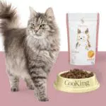 CooKing Cat Grain Free All Breed con Salmone, 2kg