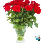 Mazzo di rose rosse