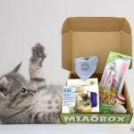 MIAOBOX 2 - Scelta da Beppo
