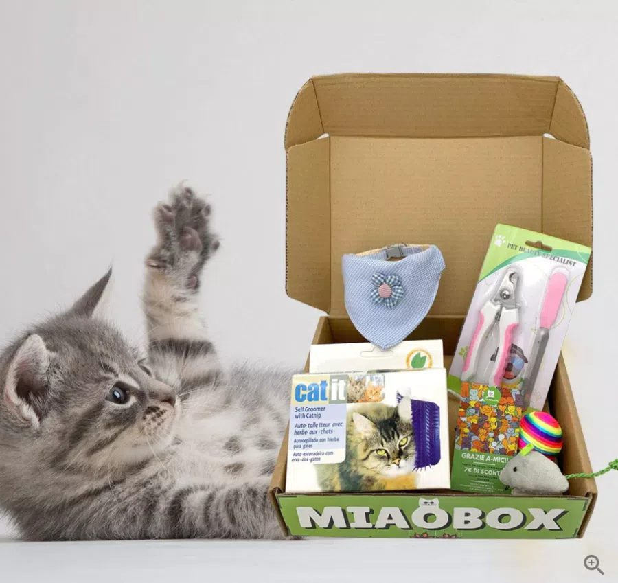 MIAOBOX 2 - Scelta da Beppo