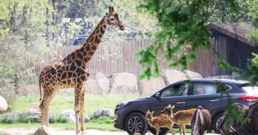 Giornata al Parco Natura Viva per tutta la famiglia