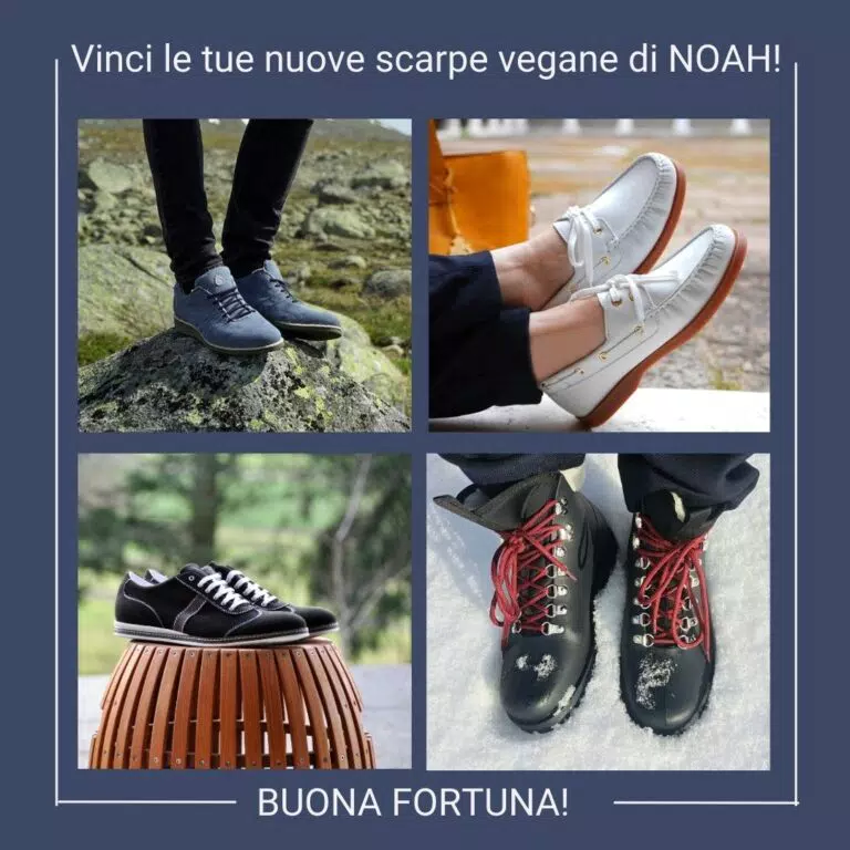Vinci scarpe vegane Noah