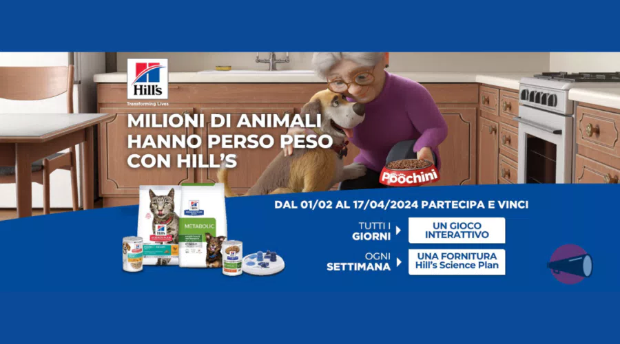 immagine dettaglio concorso