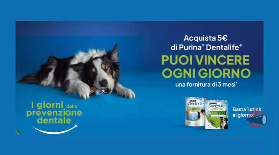 immagine dettaglio concorso