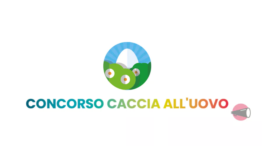 immagine dettaglio concorso